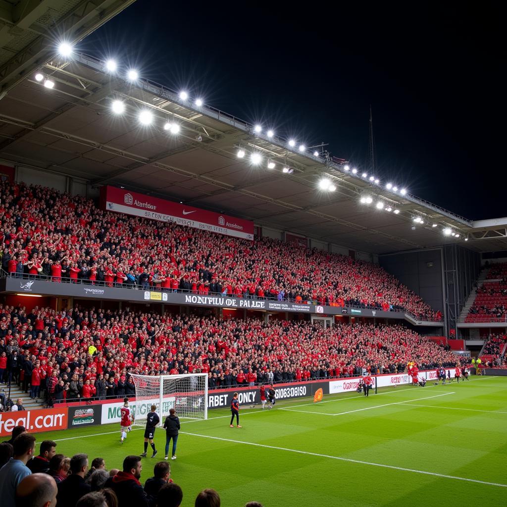 Aberdeen Central FC Fans Celebrating