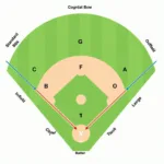 Baseball Field Positions