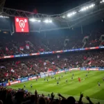 Besiktas Fans Dominating the Field