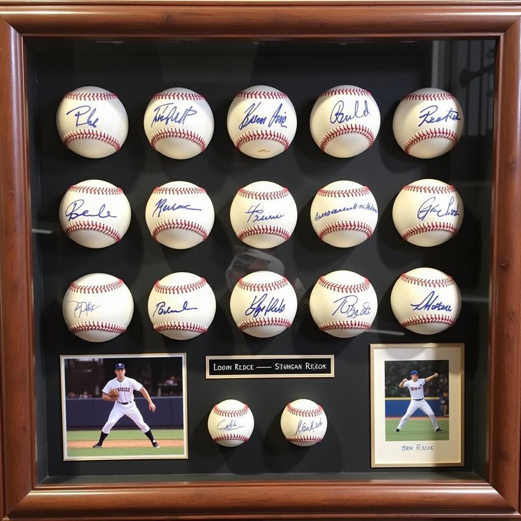 Displaying Your Ben Rice Signed Baseball Collection