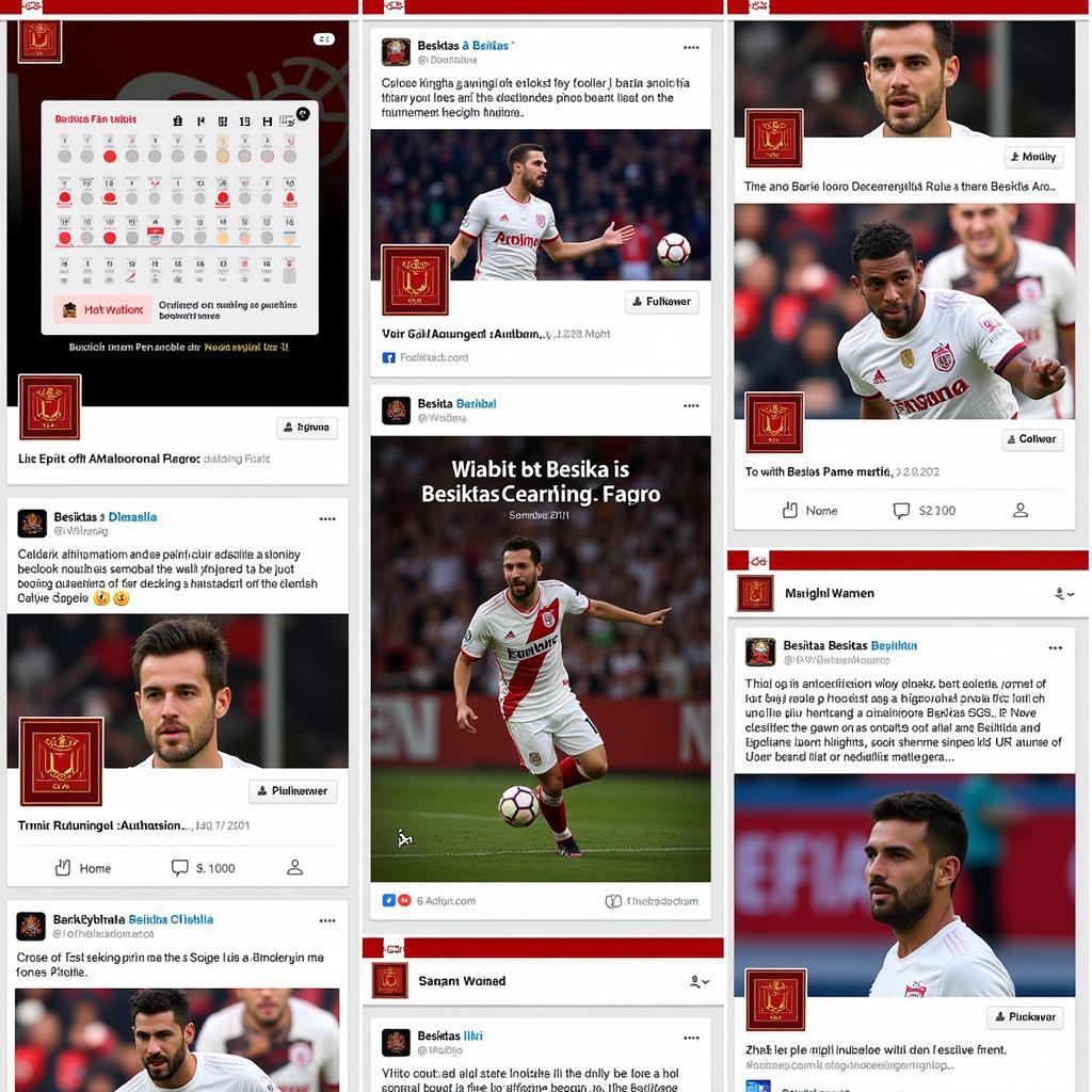 Besiktas Engaging with Fans Online