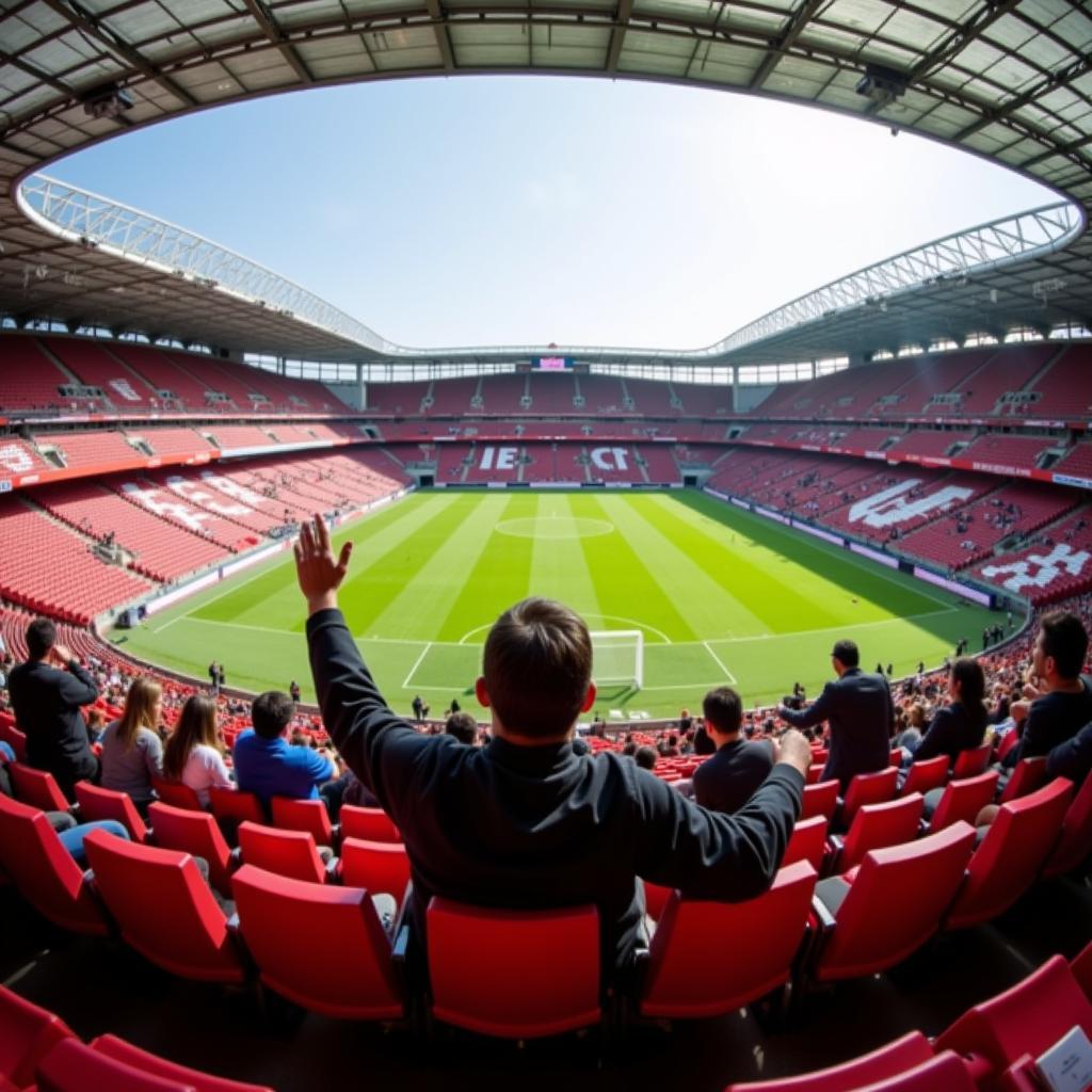 Fan enjoying the game with a sensory cushion seat