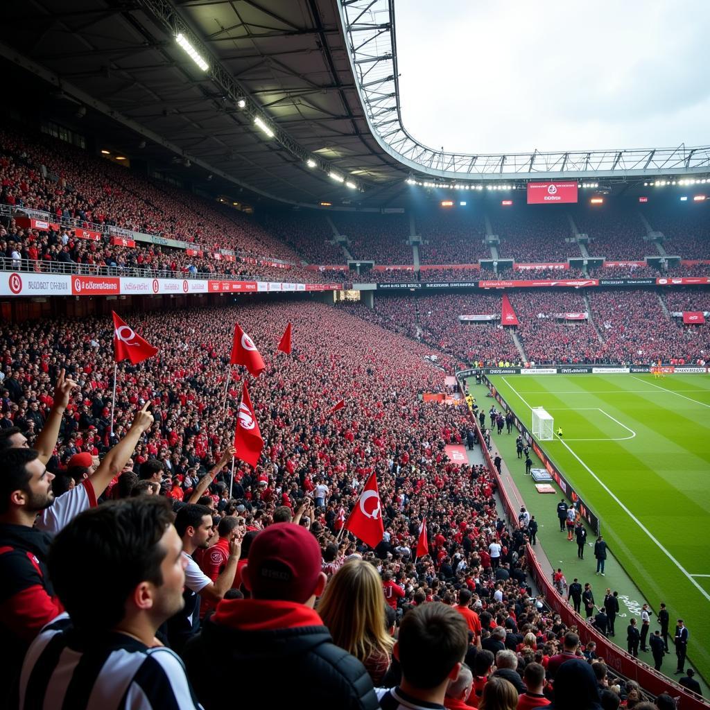 Beşiktaş Fans: A Sea of Black and White