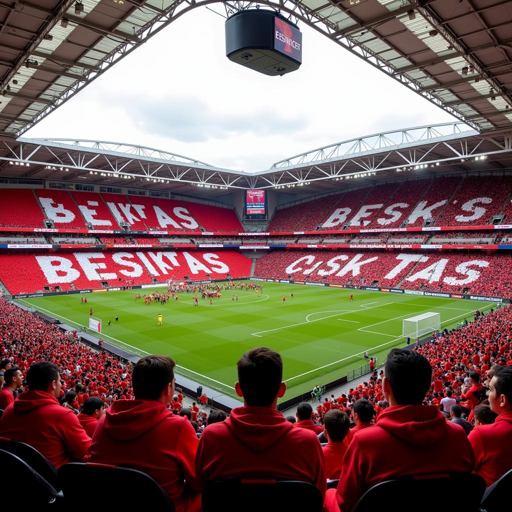 Besiktas fans creating a tifo in the stadium