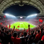 Beşiktaş Fans in Vodafone Park