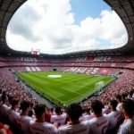 Beşiktaş Fans in White Budweiser T-shirts