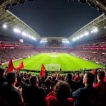 Beşiktaş fans at Vodafone Park