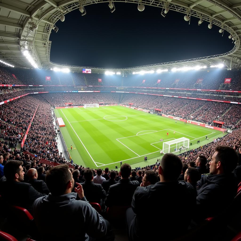 Beşiktaş Fans at Vodafone Park