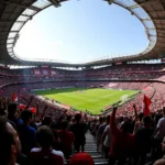 Besiktas Fans at Vodafone Park