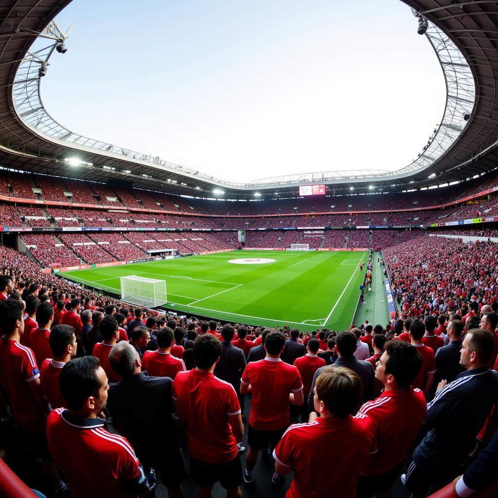 The electrifying atmosphere at Vodafone Park