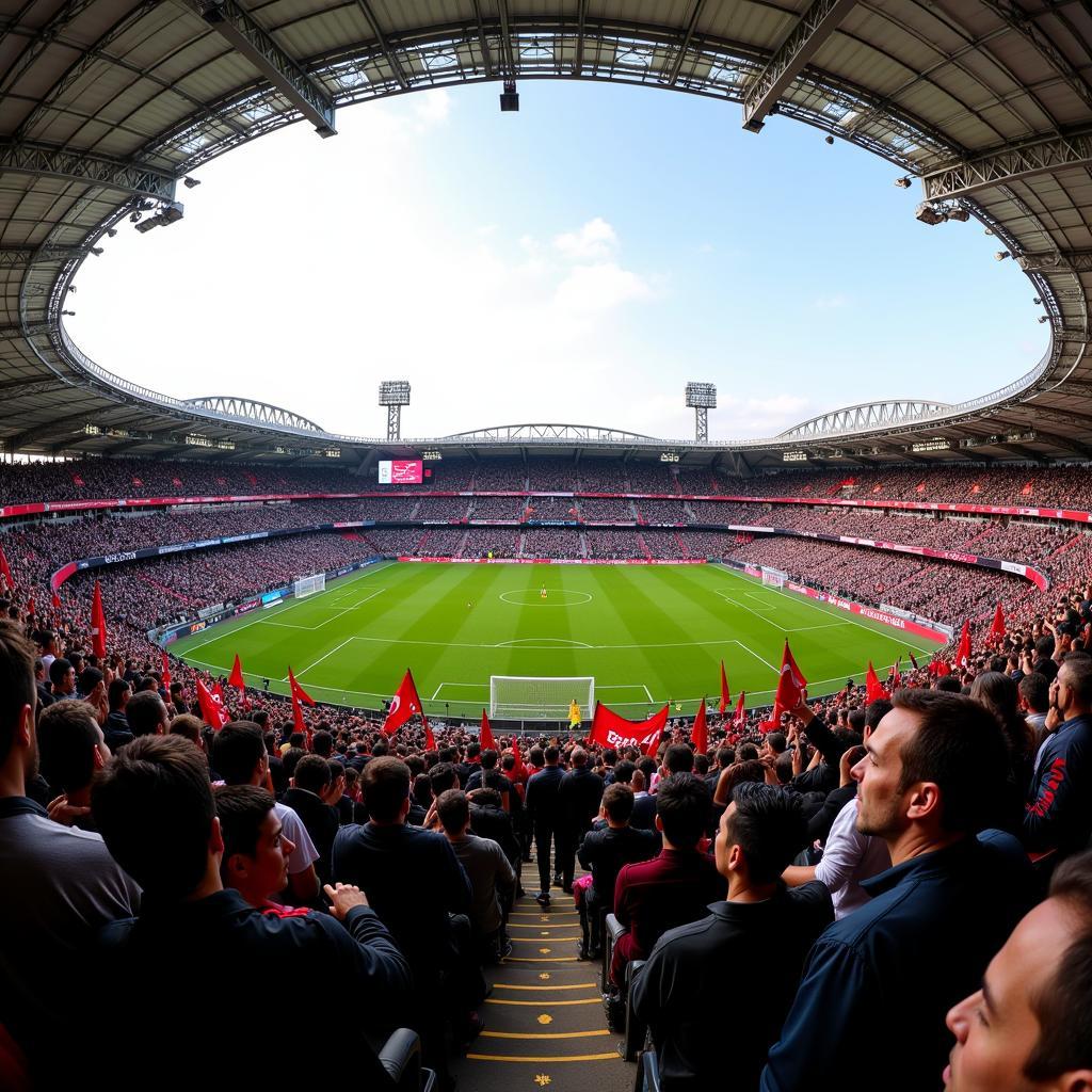 Besiktas Fans at Vodafone Park