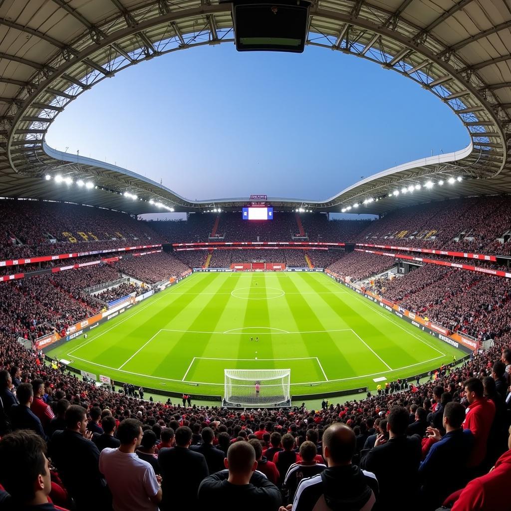 Besiktas Fans at Vodafone Park