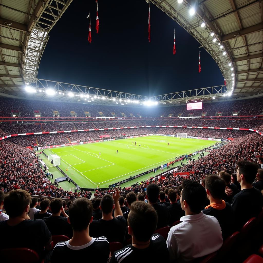 Beşiktaş Fans at Vodafone Park