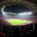 Besiktas Fans at Vodafone Park