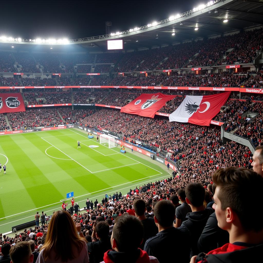 Besiktas Fans at Vodafone Park Cheering their Team