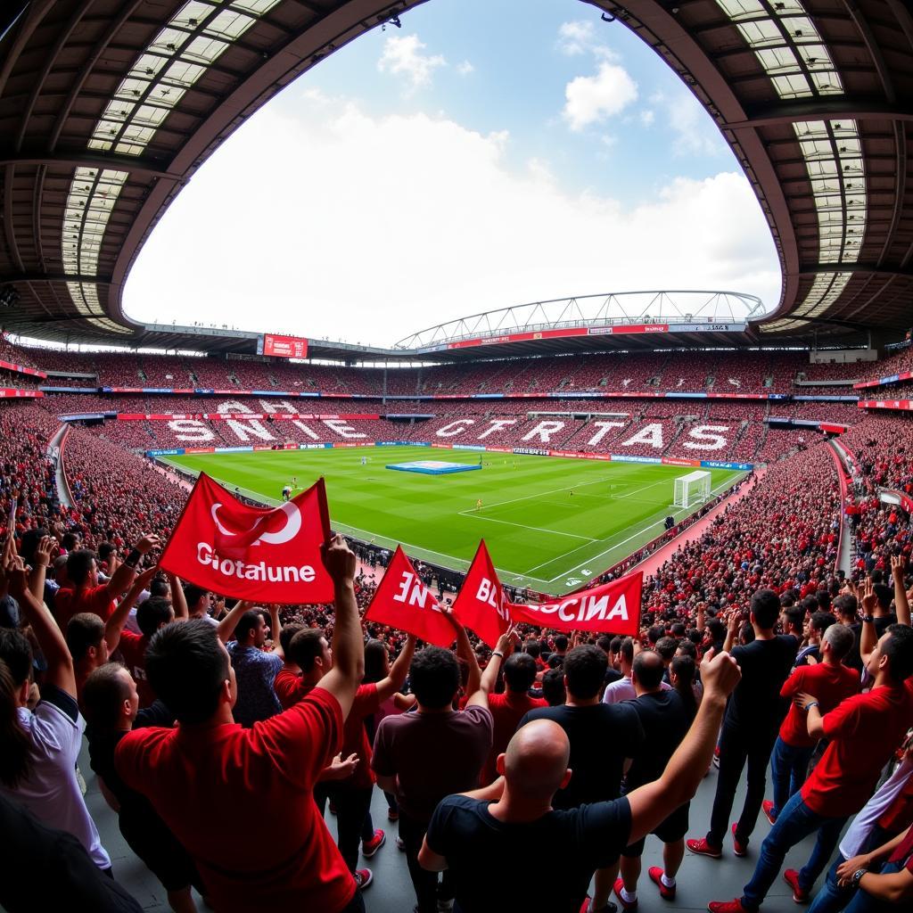 Beşiktaş Fans at Vodafone Park