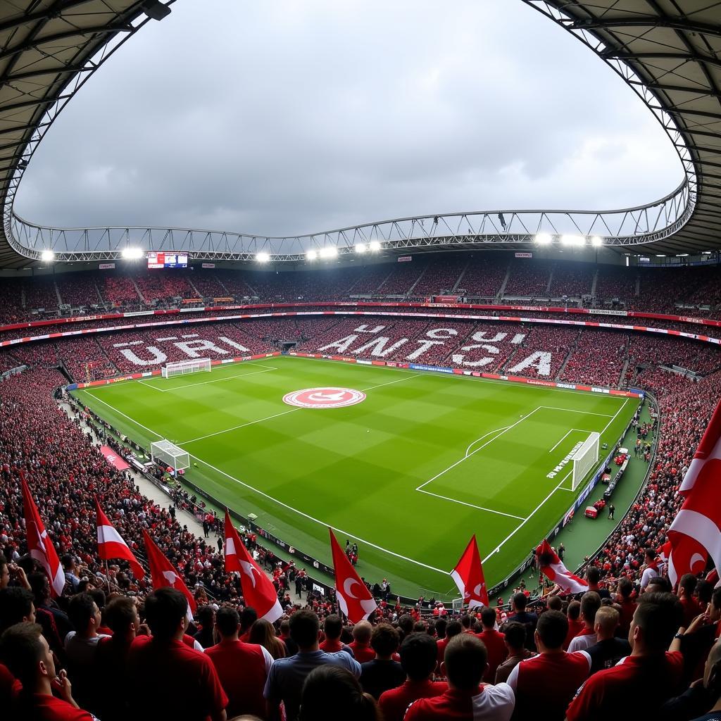 Besiktas Fans Waving Flags at Vodafone Park