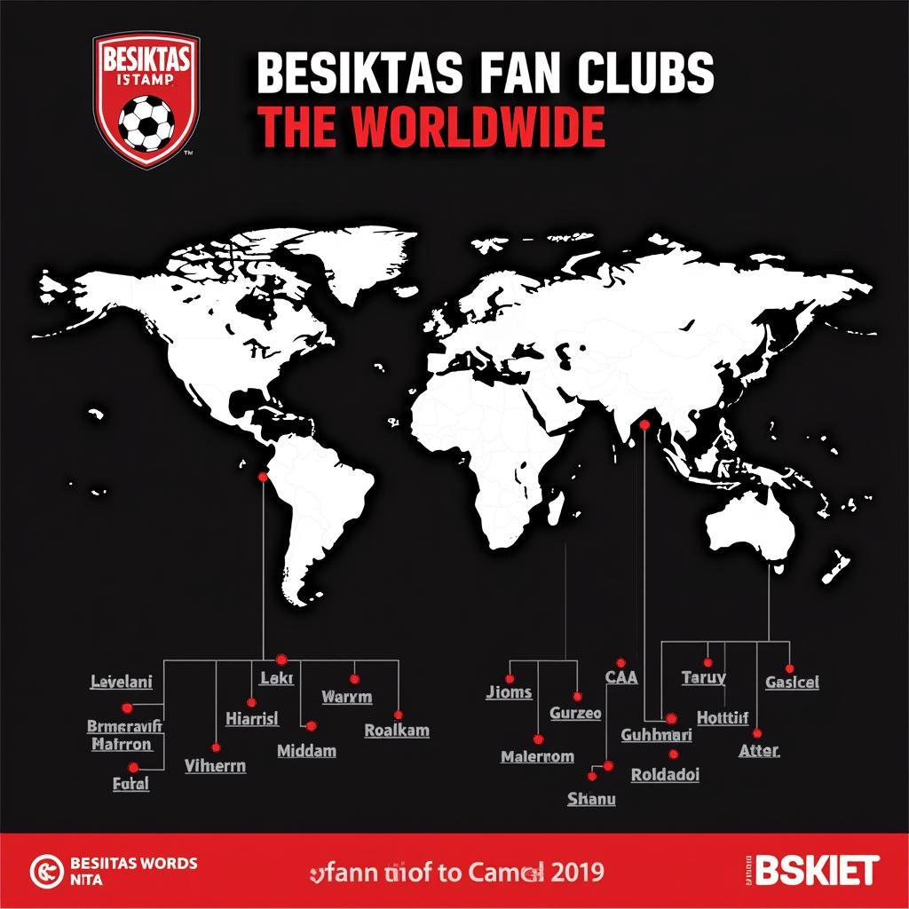 Besiktas Global Fan Connection