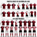 Evolution of the Besiktas Jersey from 1903 to Present