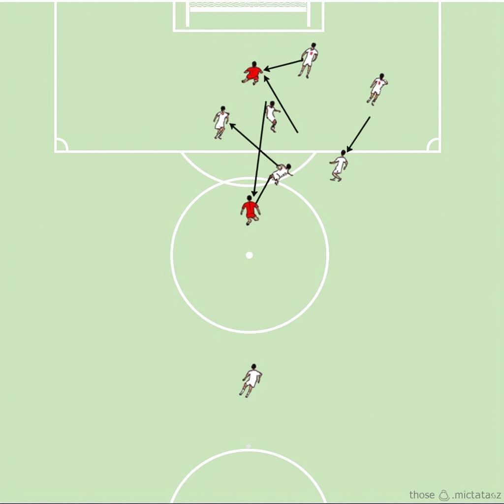 Beşiktaş Long Striker Tactics