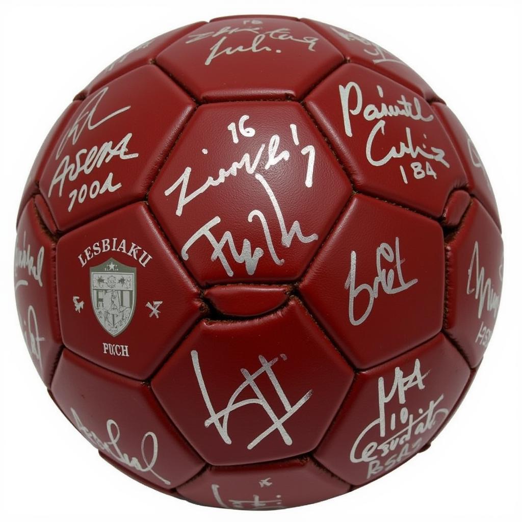  Autographed Beşiktaş Football from the 2008-2009 season