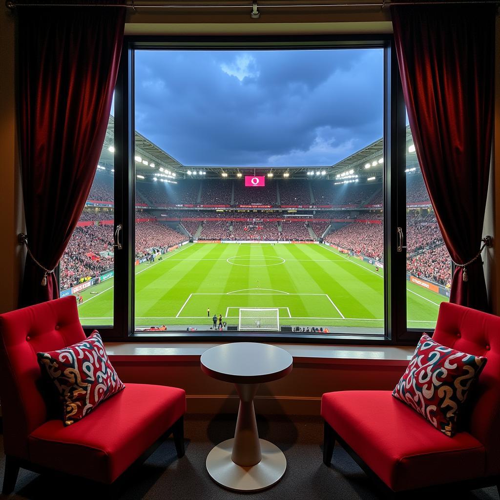 Vodafone Park VIP Suite View