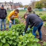 Boston Community Garden