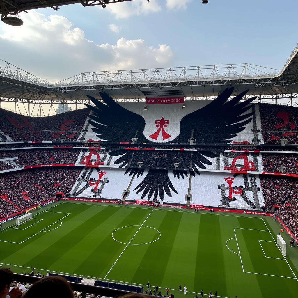 Çarşı Group Tifo Display