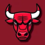 Chicago Bulls Logo