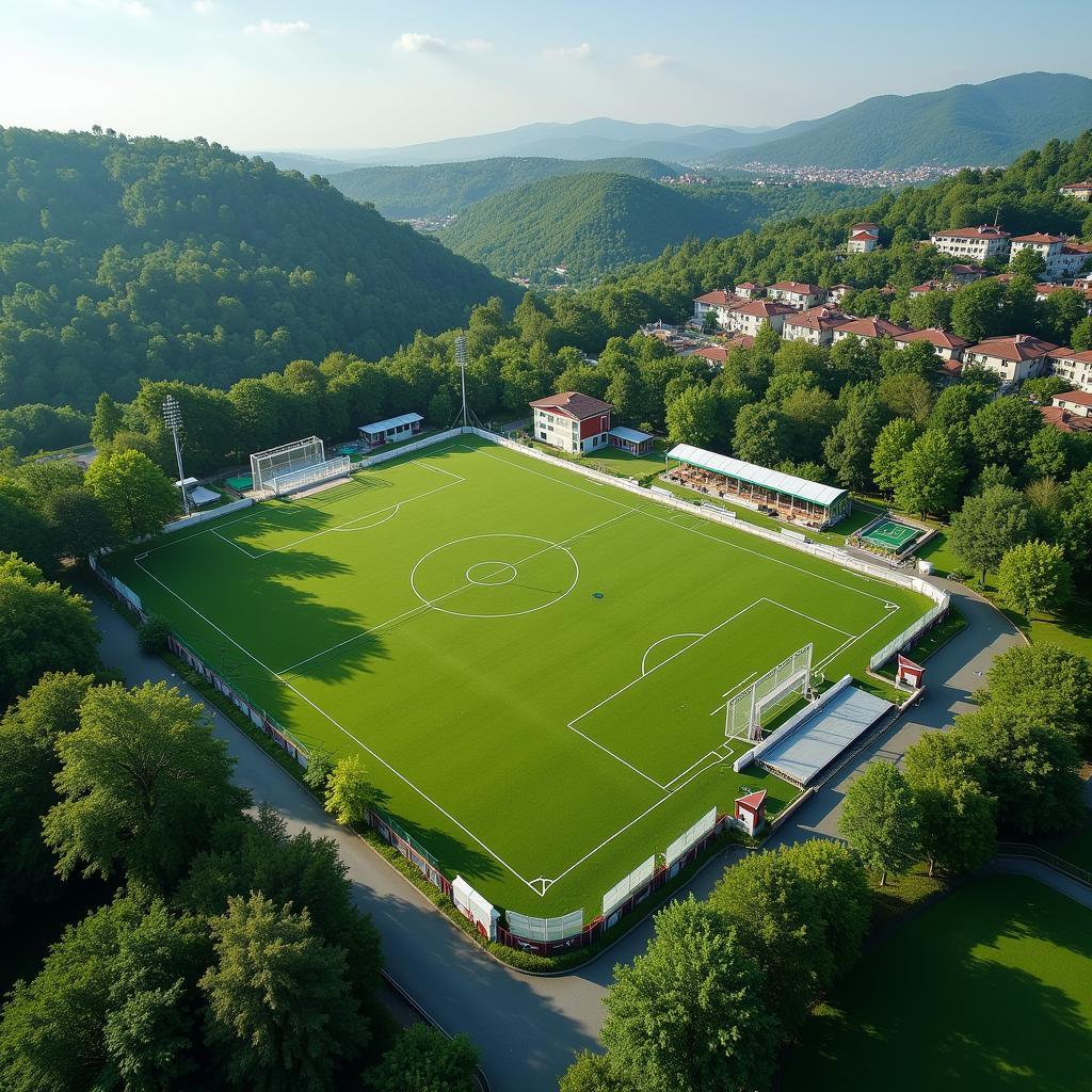 Aerial view of the Clover Field Village