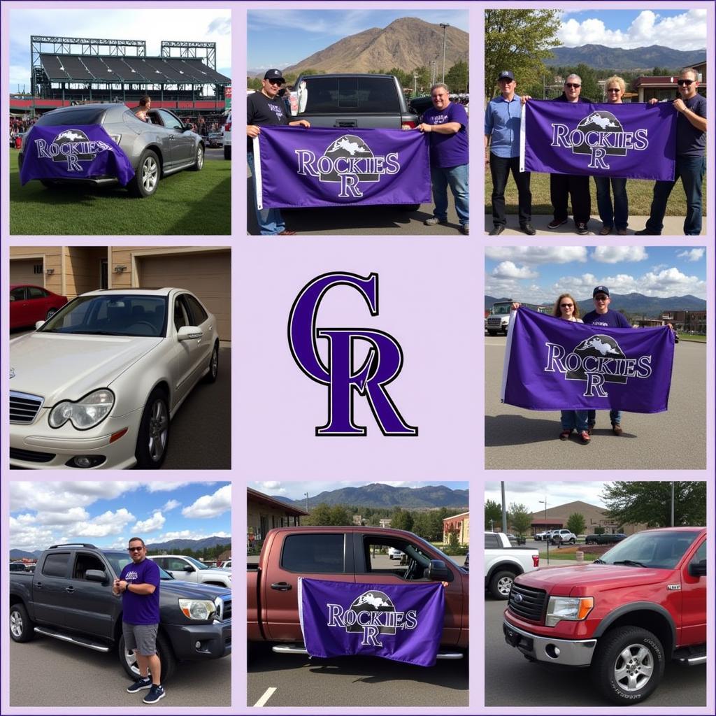 Colorado Rockies Fan Displays