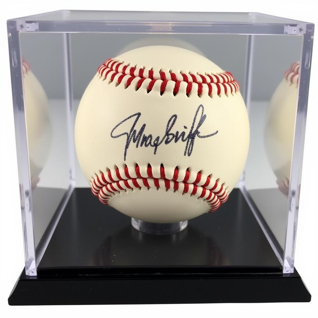 Protecting Your Investment: Displaying Autographed Memorabilia