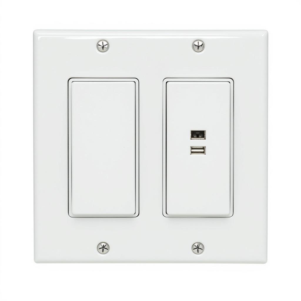 Double Rocker Switch Plate with USB Ports