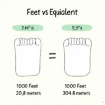 Conversion chart illustrating the relationship between feet and meters