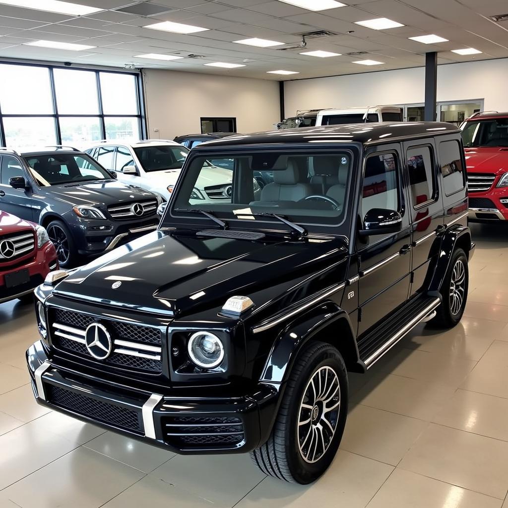 Variety of G Wagons parked in a showroom