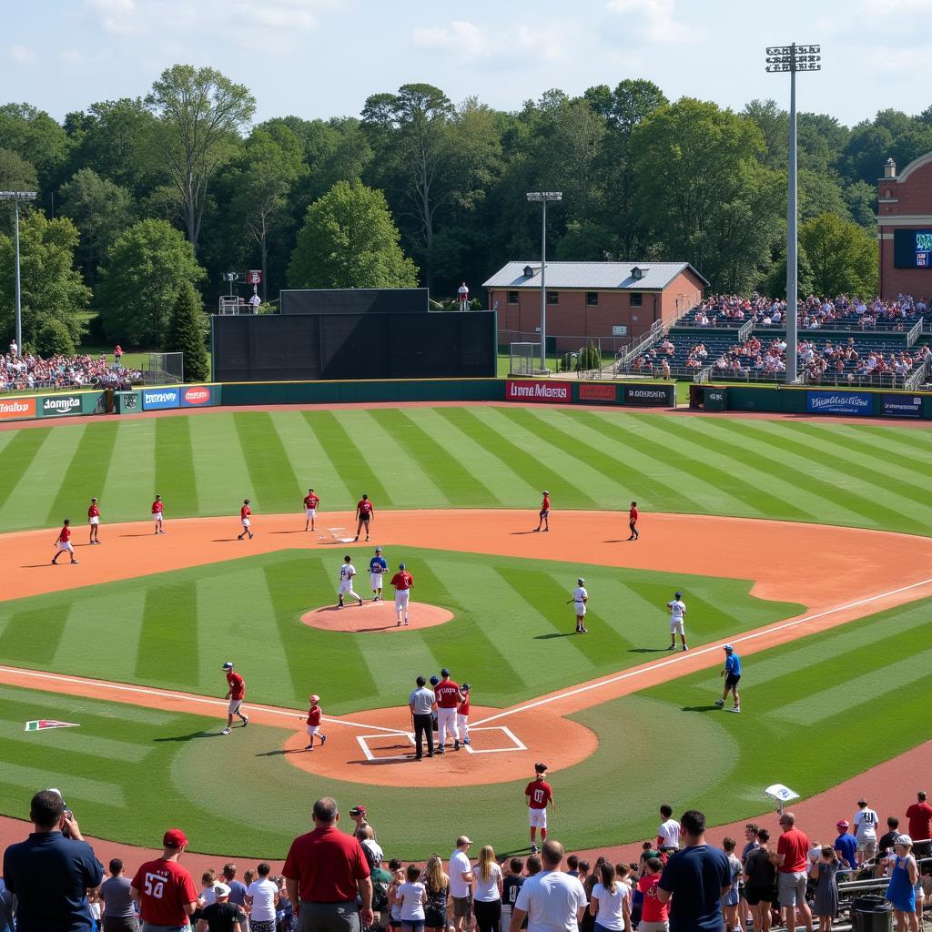 Youth Baseball Tournaments in Georgia