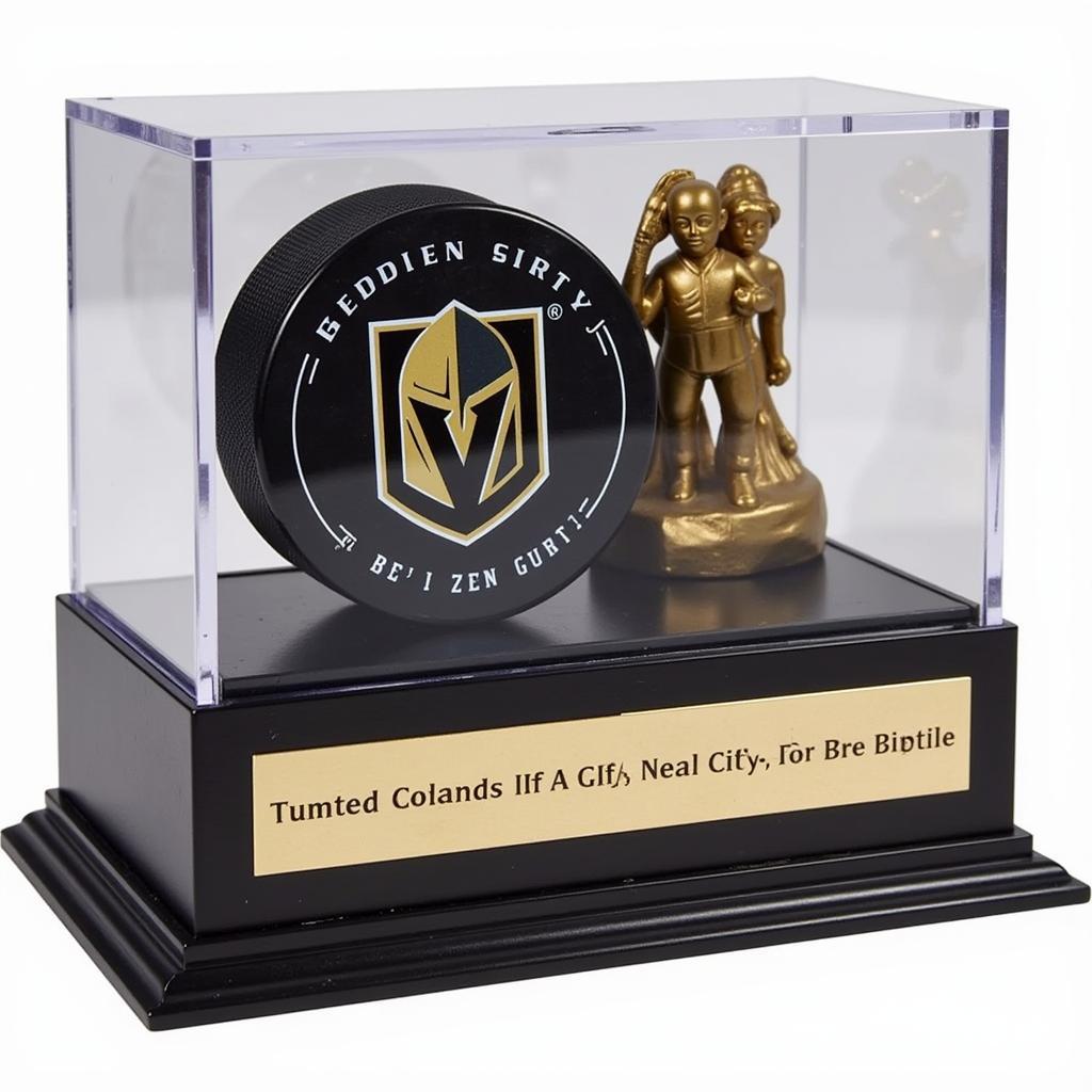 Golden Knights puck displayed in a case