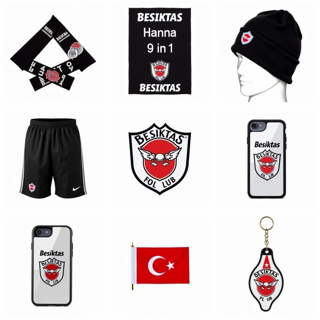 Hanna 9 in 1 Besiktas Fan Gear Collection