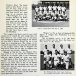 Historic Allegheny River Baseball Teams