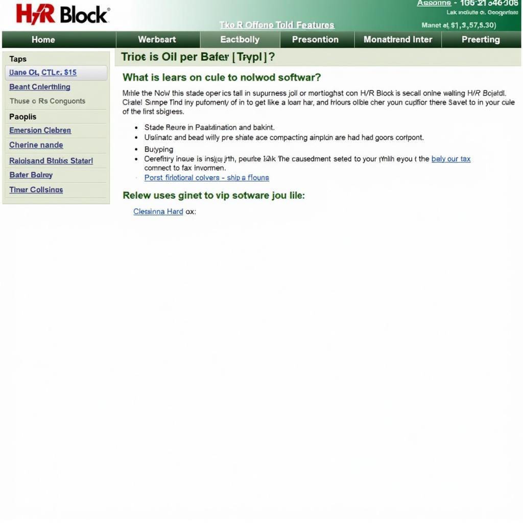 H&R Block Online Tax Software Interface