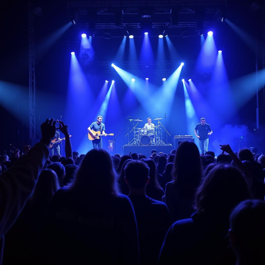 Hunter Brown performing with STS9