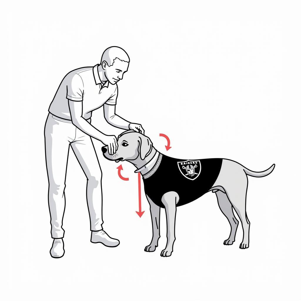 Measuring Your Dog for an Oakland Raiders Sweater