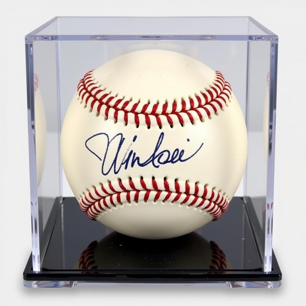 Michael Jordan Autographed Baseball in Display Case