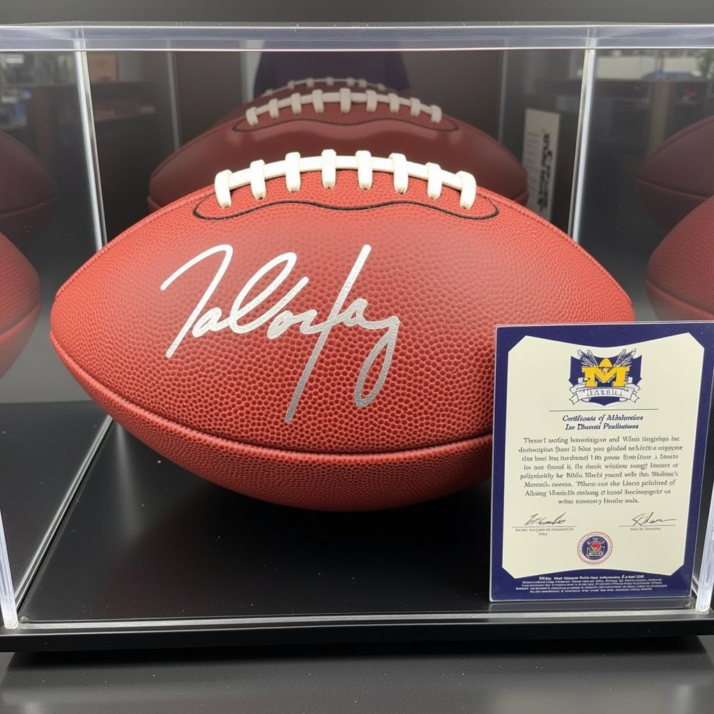 Michigan autographed football displayed in a glass case with a certificate of authenticity.