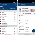 MLB App Interface