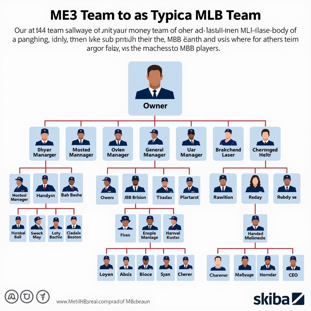 MLB Team Structure