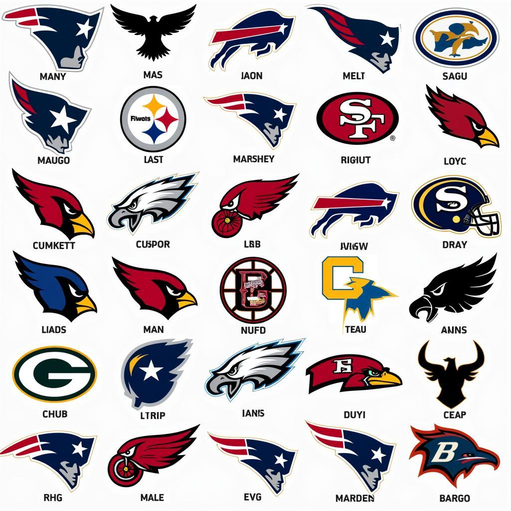 Complete List of NFL Teams