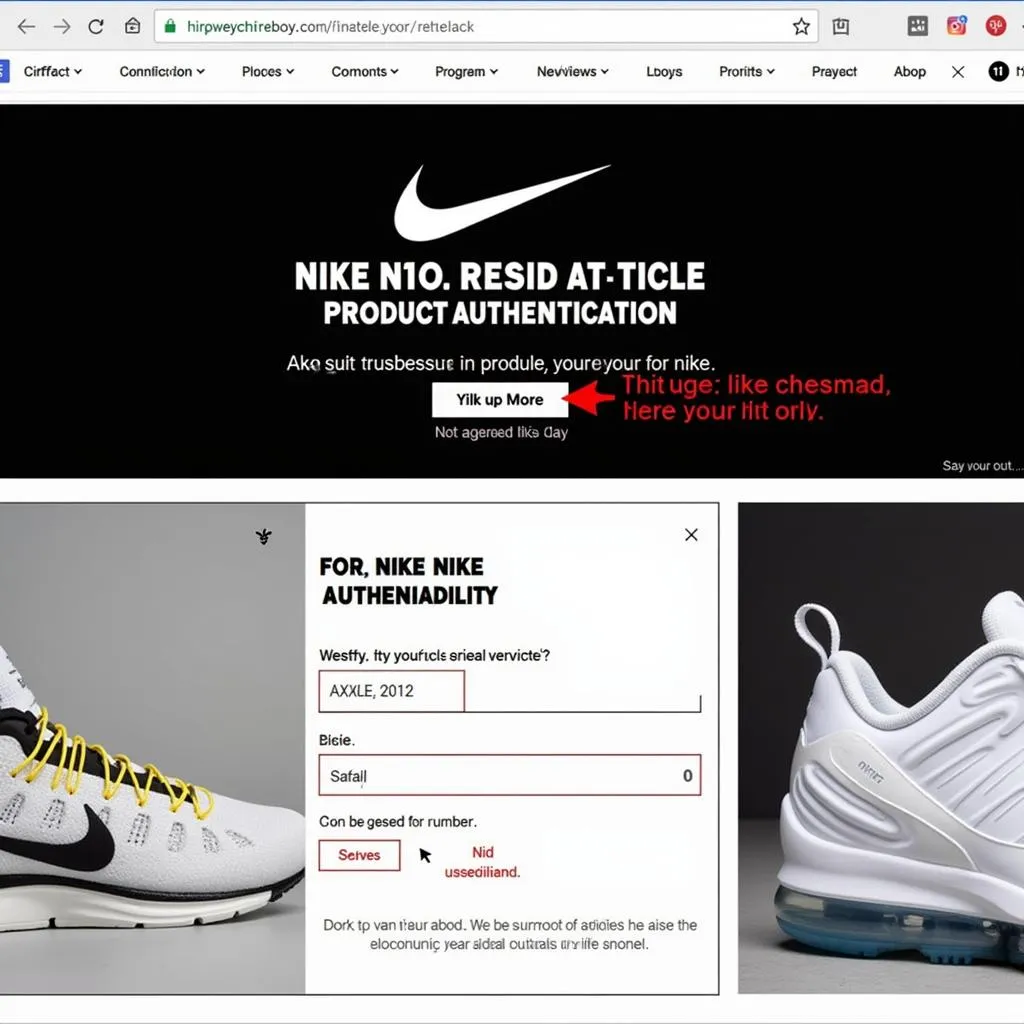 Nike's online product authentication page