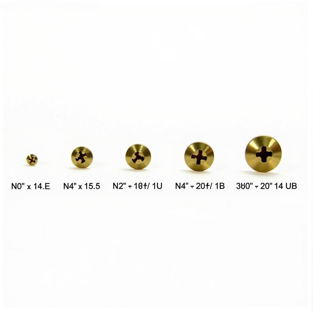 Variety of No. 2 Brass Wood Screws