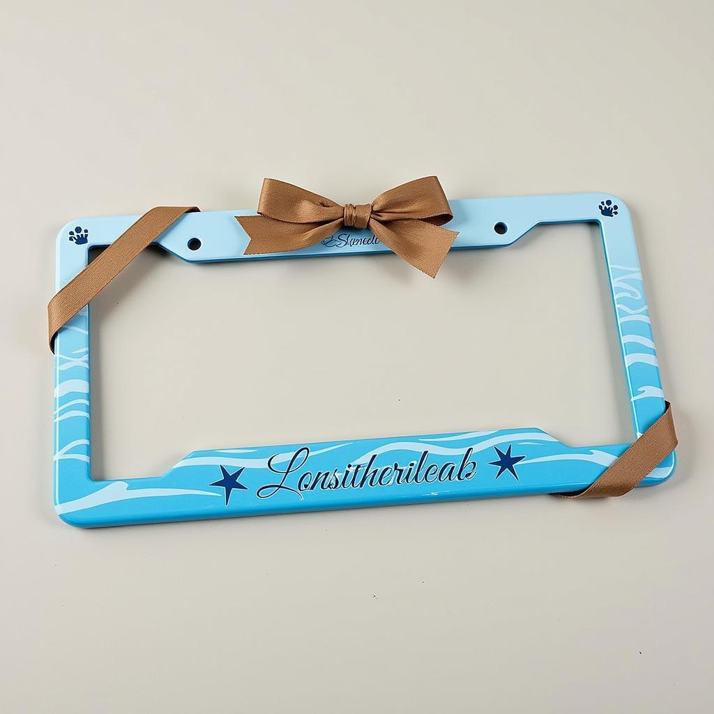 Personalized Beach License Plate Frame as a Gift